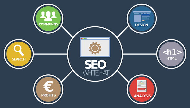 seo analýza on-line 2