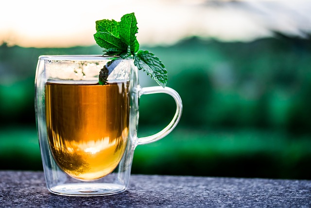 Kombucha s mátou